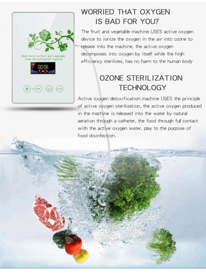 Homefish Pannello di vetro portatile per la sterilizzazione di frutta e verdura Intelligent Multifunction Machine 400mg/h Generatore di ozono per cucina 2