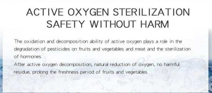 Homefish Pannello di vetro portatile per la sterilizzazione di frutta e verdura Intelligent Multifunction Machine 400mg/h Generatore di ozono per cucina 3