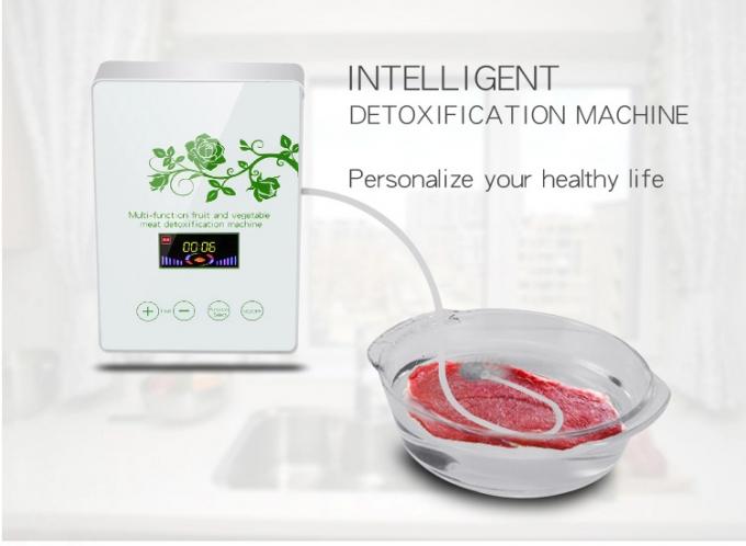 Homefish Pannello di vetro portatile per la sterilizzazione di frutta e verdura Intelligent Multifunction Machine 400mg/h Generatore di ozono per cucina 5