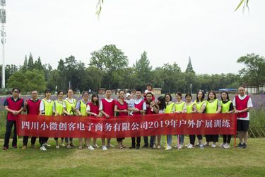 Porcellana Sichuan Small Minimally Invasive Passenger Ecommerce Ltd. Profilo aziendale