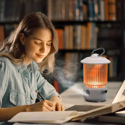 HOMEFISH Umidificatore d' aria USB a batteria 260 ml