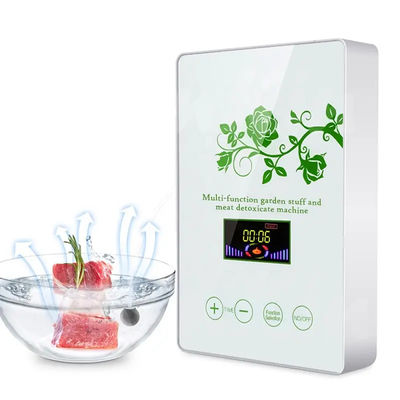 Buon prezzo Homefish Pannello di vetro portatile per la sterilizzazione di frutta e verdura Intelligent Multifunction Machine 400mg/h Generatore di ozono per cucina in linea